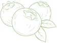 decoration